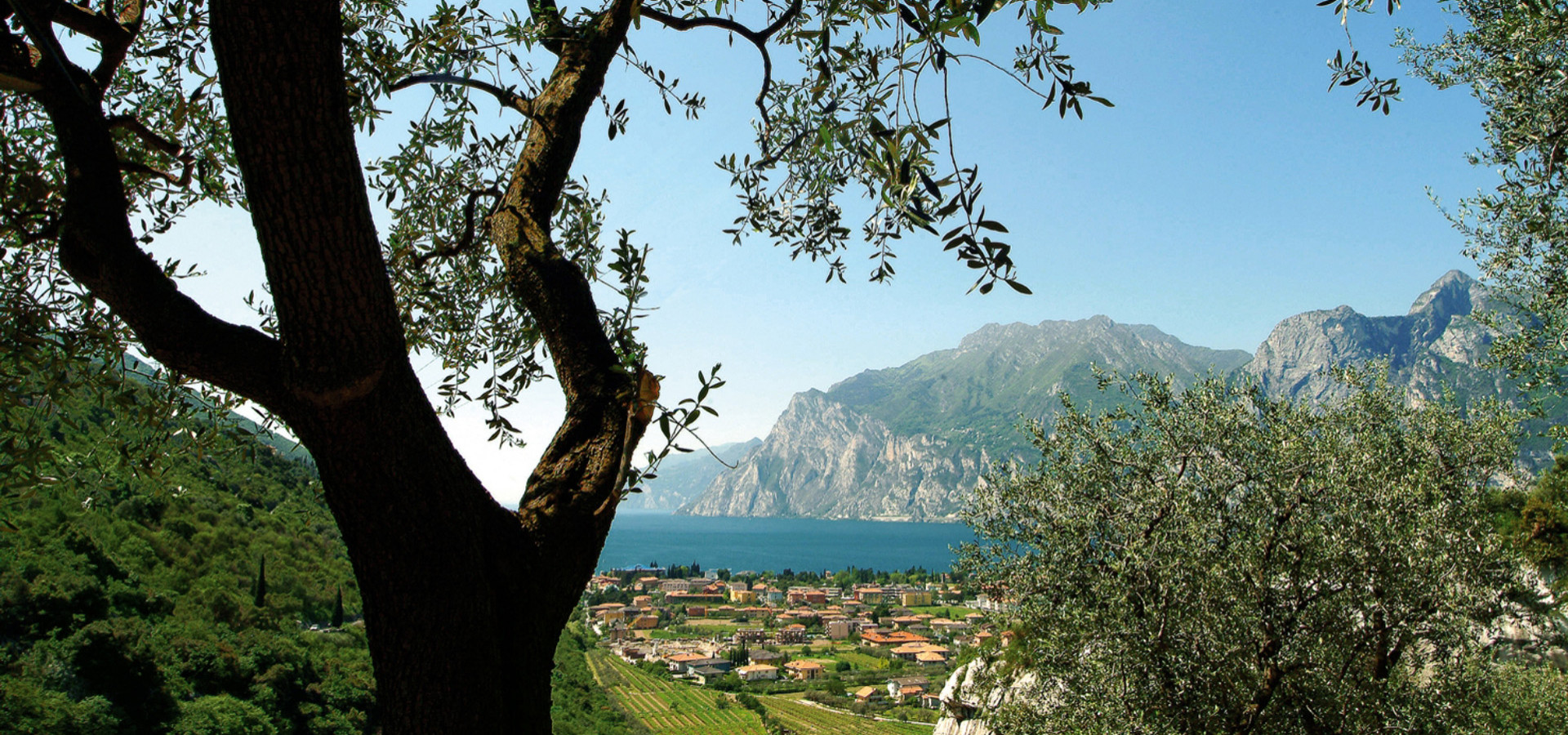 Vista panoramica su un lago, montagne e un villaggio, incorniciati da alberi.