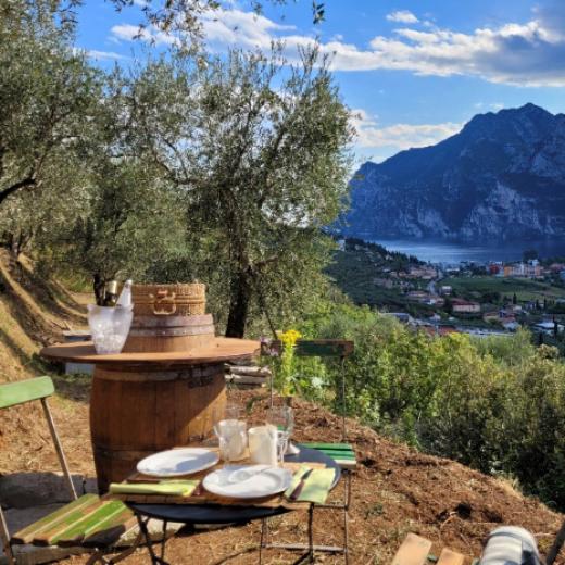 Vista panoramica con tavolo rustico tra ulivi e montagne sullo sfondo.